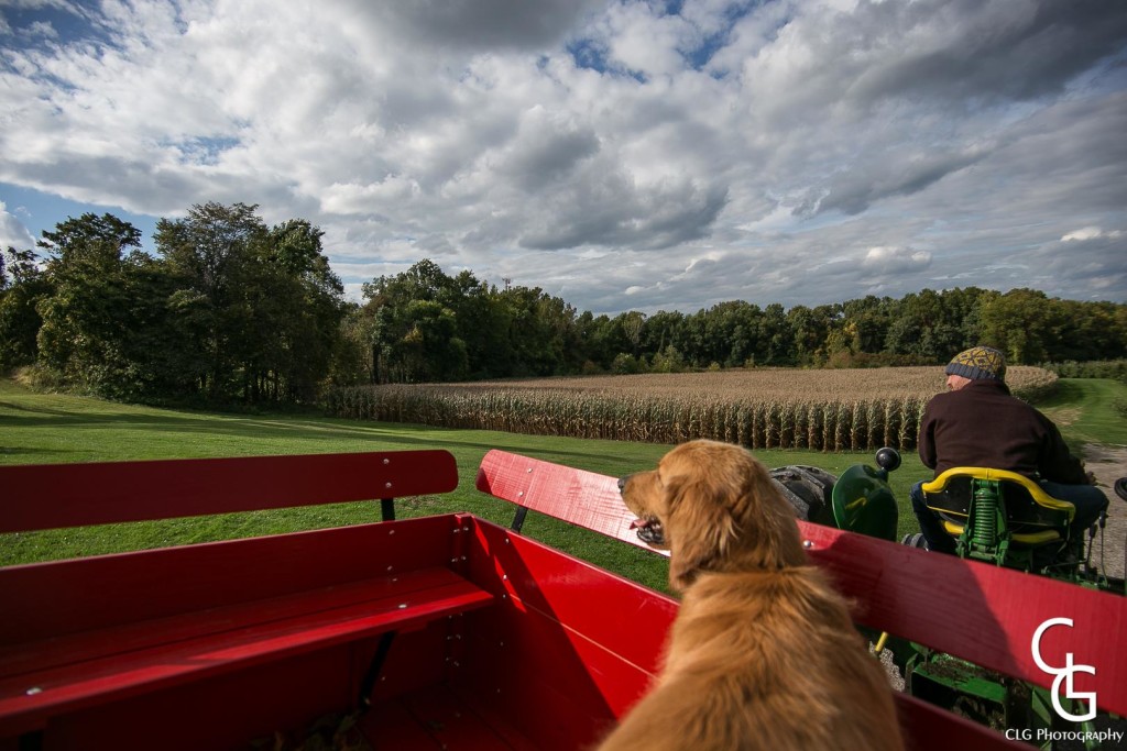 wagon ride