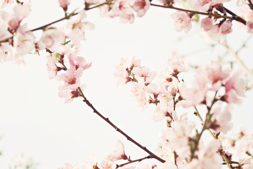 Spring 5