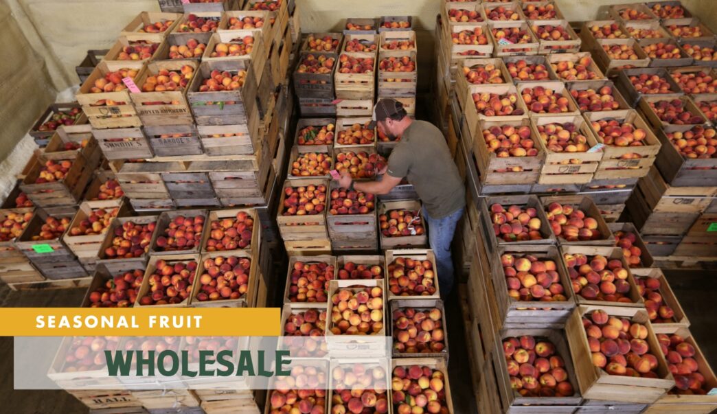 Wholesale Fruit from Quarry Hill Orchards