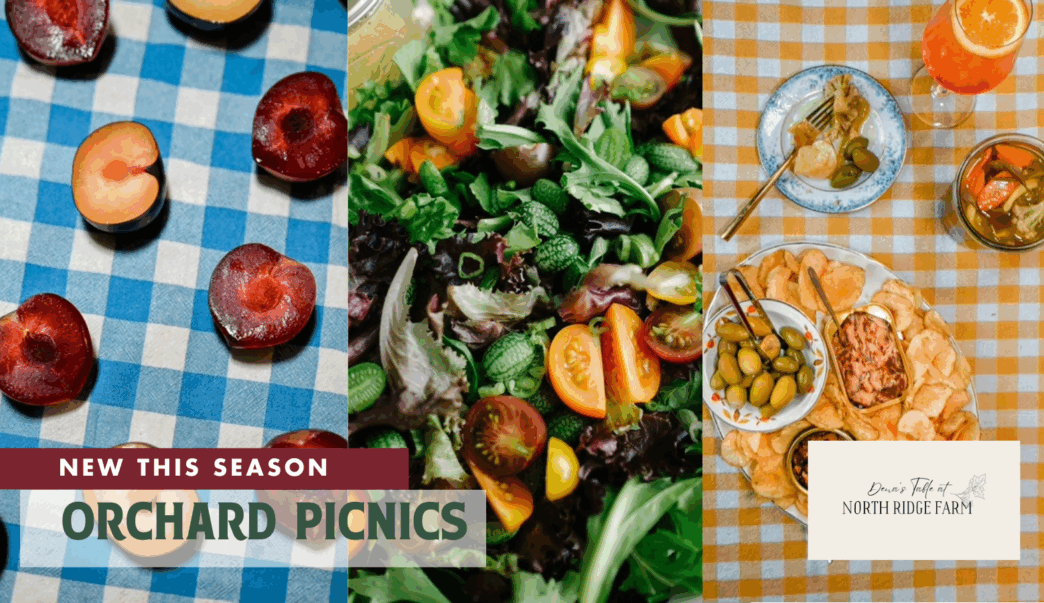 fresh picnics in the orchard with peaches salads and a chef prepared lunch